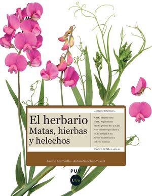 EL HERBARIO, MATAS, HIERBAS Y HELECHOS