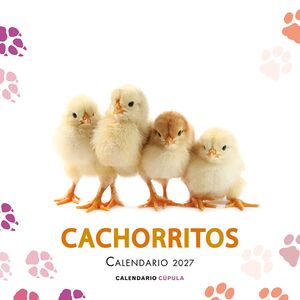 CALENDARIO CACHORROS 2027
