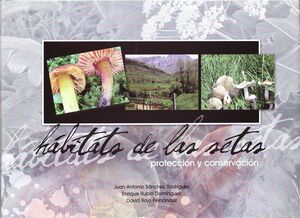 HÁBITATS DE LAS SETAS: CONSERVACIÓN Y PROTECCIÓN