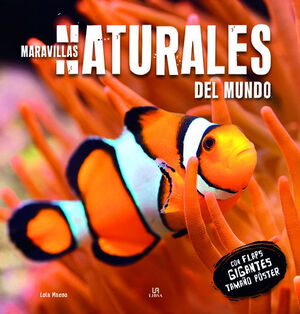 MARAVILLAS NATURALES DEL MUNDO