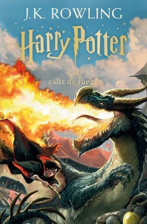 HARRY POTTER Y EL CALIZ DE FUEGO (HARRY POTTER [EDICION CON