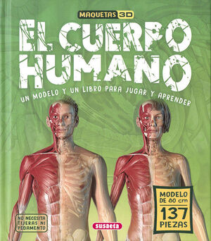 Maqueta Cuerpo Humano