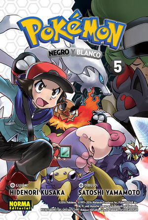 POKEMON 30, NEGRO Y BLANCO 02