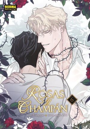 ROSAS Y CHAMPAN 6