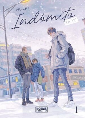 INDOMITO: SA YE 01