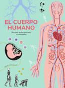 EL CUERPO HUMANO