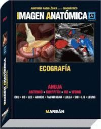 IMAGEN ANATÓMICA. ECOGRAFÍA
