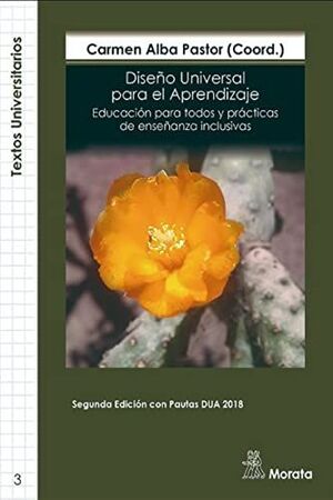 DISEÑO UNIVERSAL PARA EL APRENDIZAJE: EDUCACIÓN PARA TODOS Y PRÁCTICAS DE ENSEÑA