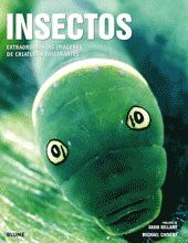INSECTOS. EXTRAORDINARIAS IMAGENES DE CRIATURAS FASCINANTES