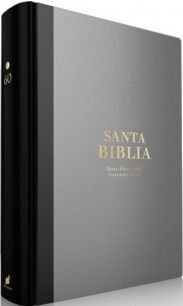 SANTA BIBLIA RV1960 GRIS LETRA GIGANTE