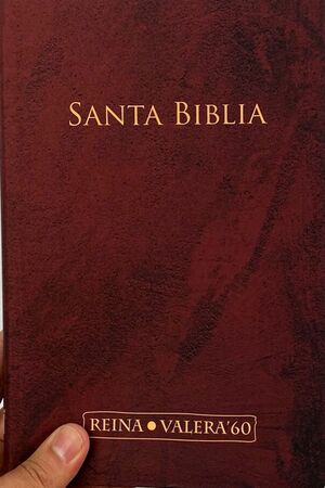 SANTA BIBLIA 60 (MARRON) REINA VALERA