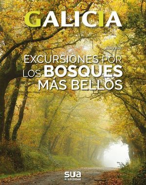 GALICIA. EXCURSIONES A LOS BOSQUES MAS BELLOS.