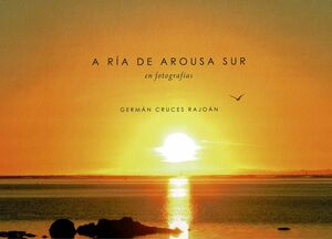 A RÍA DE AROUSA SUR