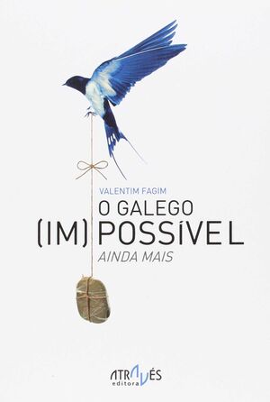 O GALEGO (IM)POSSÍVEL. AINDA MAIS