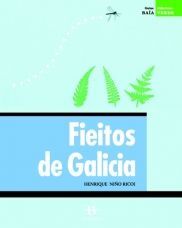 FIEITOS DE GALICIA (+ 24 DIAPOSITIVAS)
