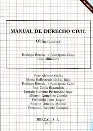 MANUAL DE DERECHO CIVIL. DERECHO PRIVADO Y DERECHO DE LA PERSONA