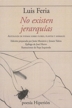 NO EXISTEN JERARQUIAS