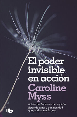 PODER INVISIBLE EN ACCION, EL