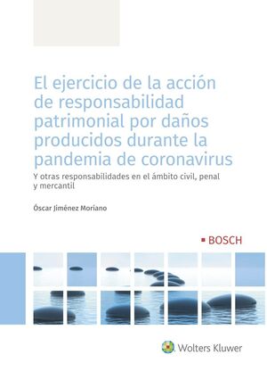 EL EJERCICIO DE LA ACCIÓN DE RESPONSABILIDAD PATRIMONIAL POR DAÑOS PRODUCIDOS  D