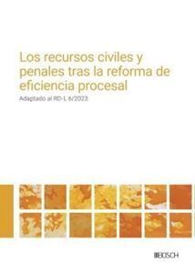 LOS RECURSOS CIVILES Y PENALES TRAS LA REFORMA DE EFICIENCIA PROCESAL