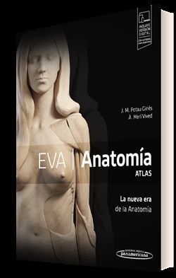 EVA. ANATOMÍA. ATLAS. LA NUEVA ERA DE LA ANATOMÍA