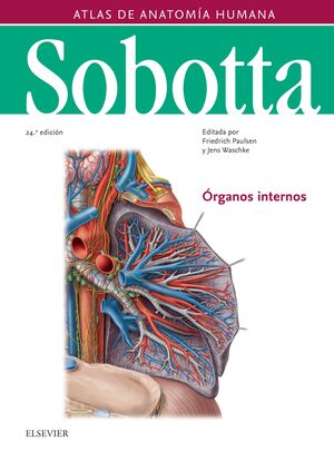 SOBOTTA. ATLAS DE ANATOMÍA HUMANA VOL 2 (24ª ED.)