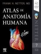 ATLAS DE ANATOMÍA HUMANA (7ª ED.) NETTER