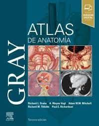 GRAY. ATLAS DE ANATOMÍA (3ª ED.)