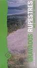 GRAVADOS RUPESTRES NOS MONTES DE CARNOTA