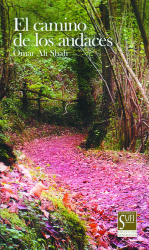 EL CAMINO DE LOS AUDACES