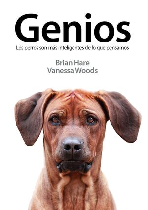 GENIOS. LOS PERROS SON MAS INTELIGENTES DE LO QUE PENSAMOS