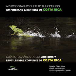 A PHOTOGRAPHIC GUIDE OF THE COMMON AMMPHIBIANS & REPTILES OF COSTA ROCA / GUÍA F