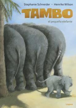 RYM. TAMBO, EL PEQUEÑO ELEFANTE DESDE 6 AÑOS