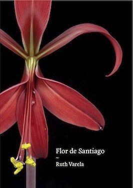 FLOR DE SANTIAGO