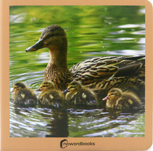 ANIMALES EN FAMILIA 1 CARTON