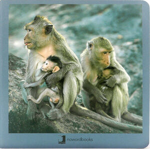 ANIMALES EN FAMILIA 2 CARTON