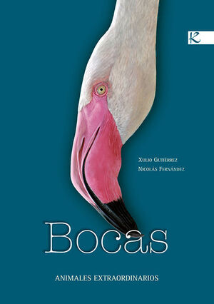 BOCAS   ANIMALES EXTRAORDINARIOS