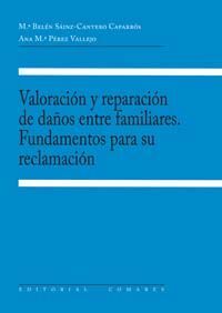 VALORACIÓN Y REPARACIÓN DE DAÑOS ENTRE FAMILIARES. FUNDAMENTOS PARA SU RECLAMACI