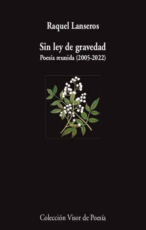 SIN LEY DE GRAVEDAD   2005 - 2022