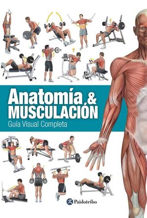 ANATOMÍA & MUSCULACIÓN. GUIA VISUAL COMPLETA