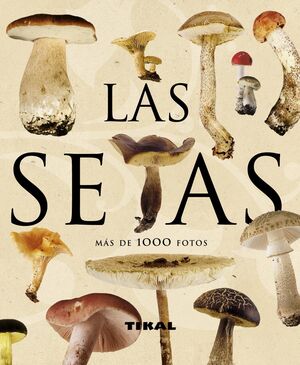 LAS SETAS, MAS DE 1000 FOTOS