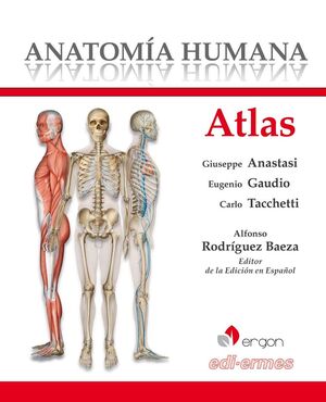 ATLAS ANATOMÍA HUMANA