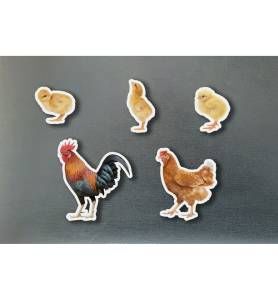 CAJA MAGNETIC FAMILIES GALLINAS