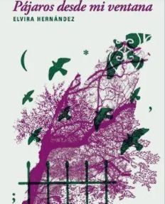 PÁJAROS DESDE MI VENTANA