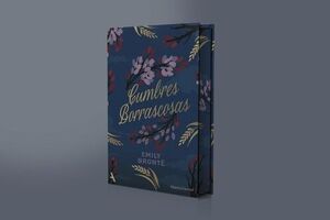 CUMBRES BORRASCOSAS