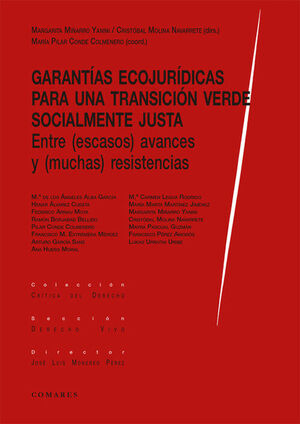 GARANTIAS ECOJURIDICAS PARA UNA TRANSICION VERDE SOCIALMENTE