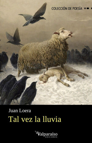 TAL VEZ LA LLUVIA