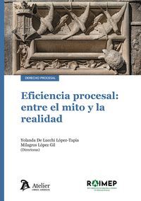 EFICIENCIA PROCESAL: ENTRE EL MITO Y LA REALIDAD