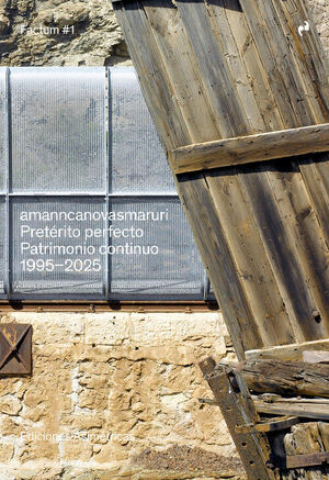 PRETERITO PERFECTO:PATRIMONIO CONTINUO