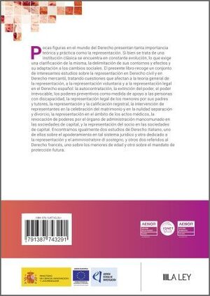 ESTUDIOS SOBRE PROBLEMAS ACTUALES DE REPRESENTACIÓ